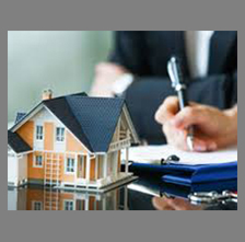 شرط پروانه5