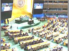 سازمان ملل واشغال فلسطین