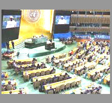 سازمان ملل واشغال فلسطین