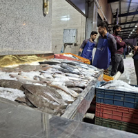 بارانداز ماهی شاخص