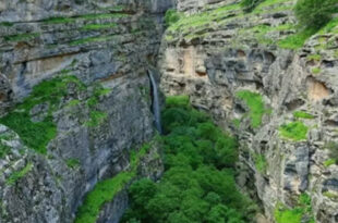 دره چريک شاخص