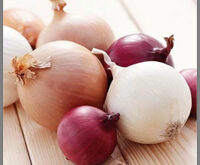 انواع پیاز با خواص شگفت انگیز شاخص