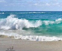 دریا بخشنده است و با صلابت شاخص