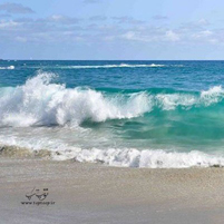 دریا بخشنده است و با صلابت شاخص