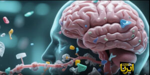ميکروپلاستيک ها در مغز ما