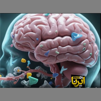 ميکروپلاستيک ها در مغز ما
