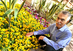 پرویز فروزانی