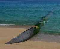 پروژه انتقال آب دریای عمان به فلات کشور شاخص