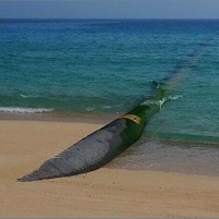 پروژه انتقال آب دریای عمان به فلات کشور شاخص