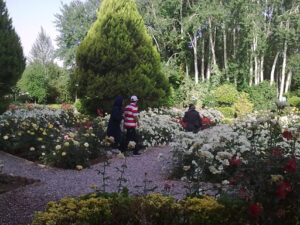 بلندای همت سروده ای از شیدا