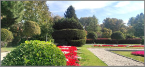 خاتم ملک سلیمانی تراست