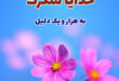 خدایا شکرت
