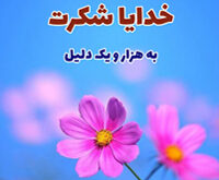 خدایا شکرت