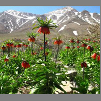 گلستان کوه در دشت برخوار